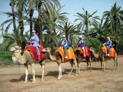 running tour marrakech